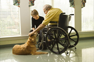 A-1 Home Care Pet Care